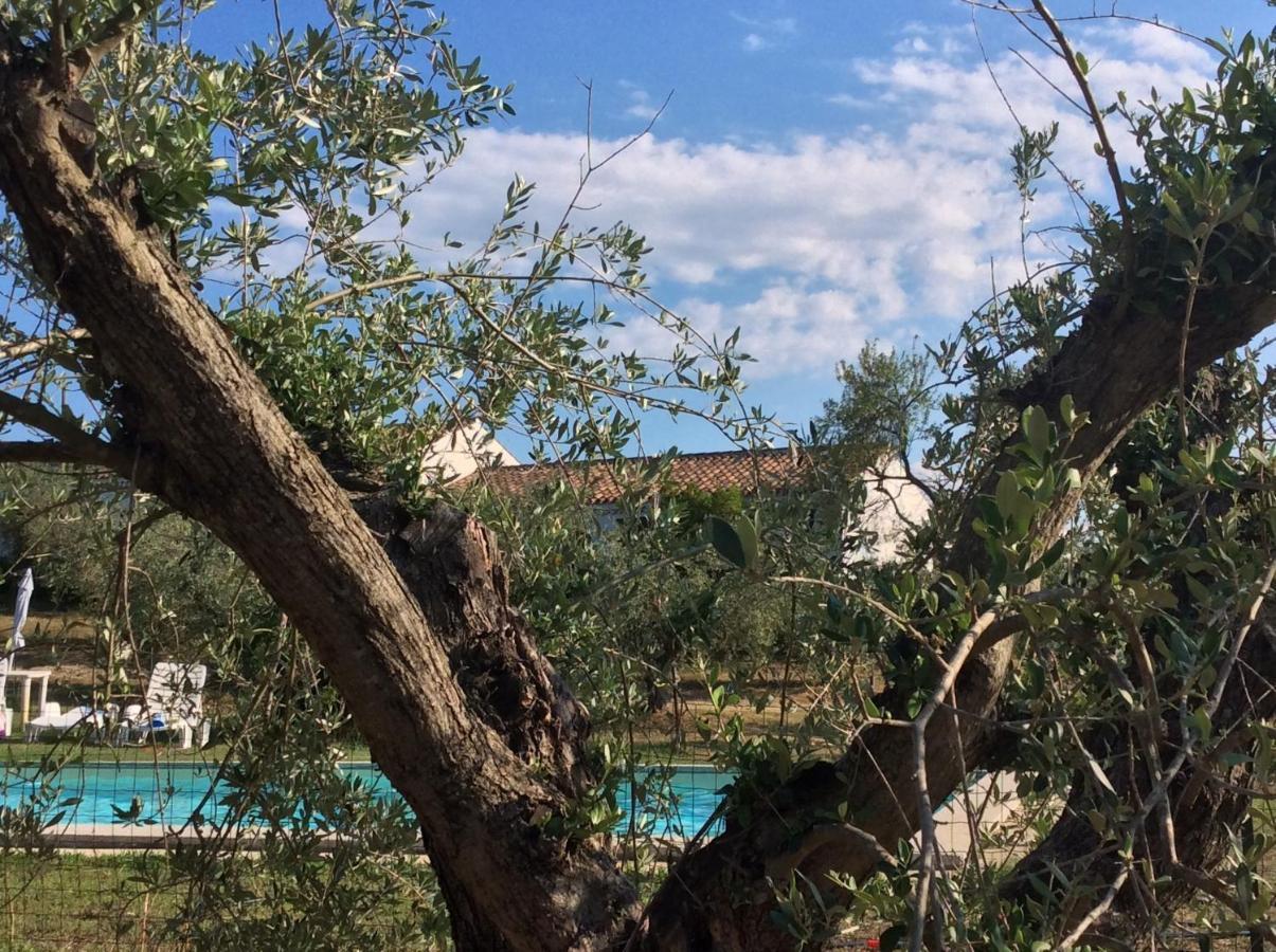 Tenuta Don Ballore Galtellì Dış mekan fotoğraf