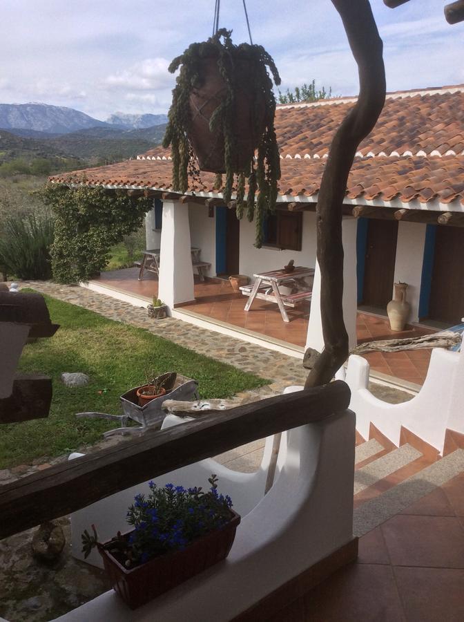 Tenuta Don Ballore Galtellì Dış mekan fotoğraf