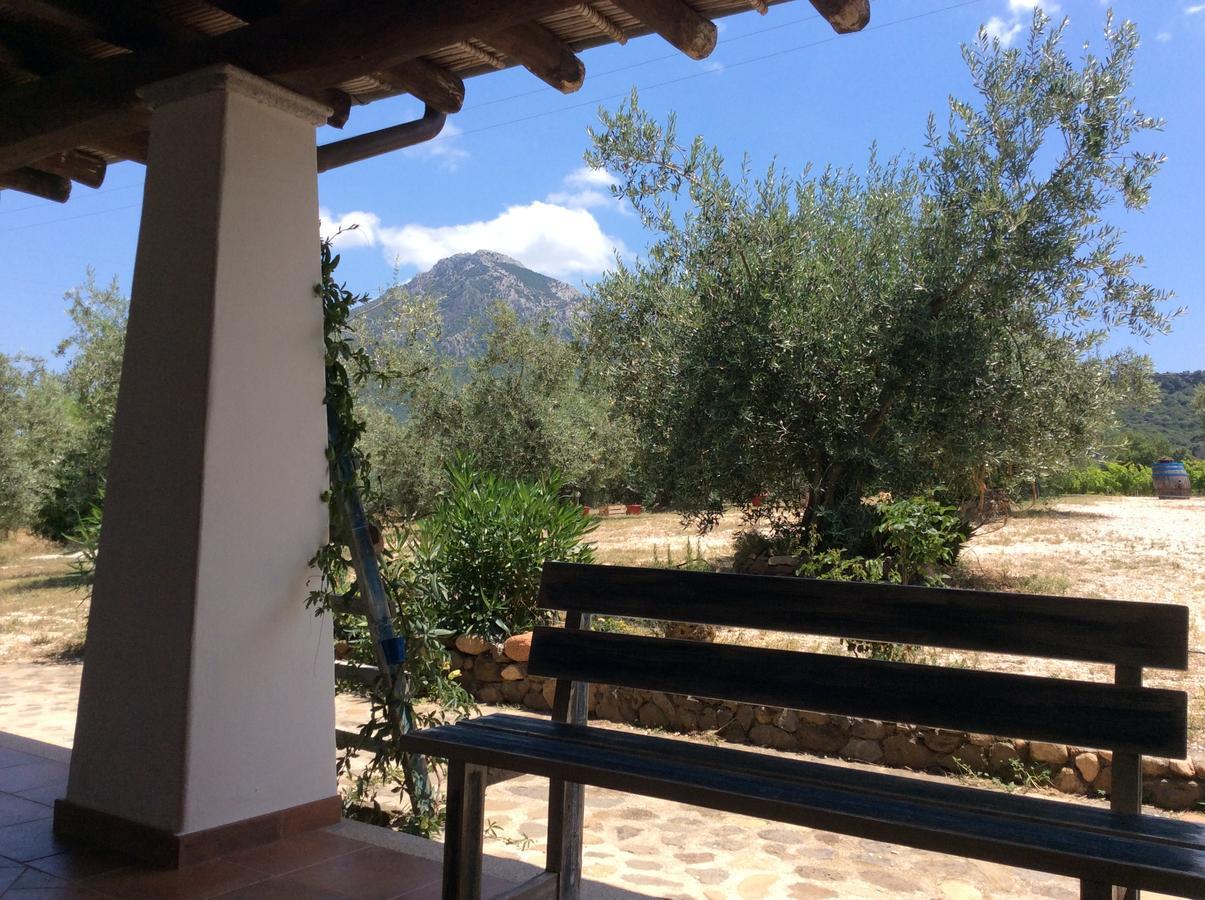 Tenuta Don Ballore Galtellì Dış mekan fotoğraf